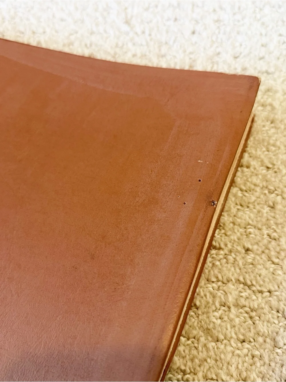 Deluxe Craft 1950’s Brown Photo Album Vintage Floral Border NEW USA 12 x 12 Inch